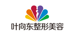 叶向东整形